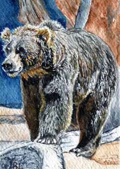 "Brown Bear" by Beverly Larson, Fitchburg WI - Watercolor, SOLD
